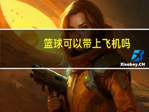 篮球可以带上飞机吗