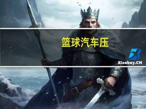 篮球汽车压