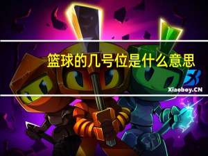 篮球的几号位是什么意思