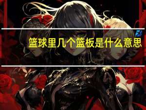 篮球里几个篮板是什么意思