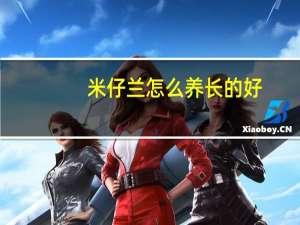 米仔兰怎么养长的好