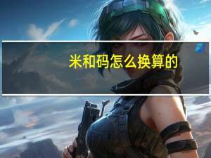 米和码怎么换算的