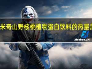 米奇 山野核桃植物蛋白饮料的热量是多少