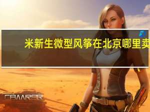 米新生微型风筝在北京哪里卖