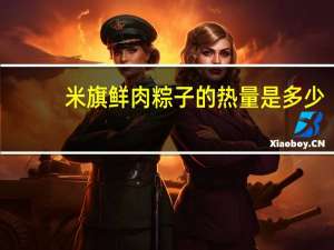 米旗 鲜肉粽子的热量是多少