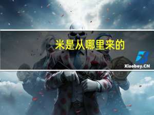 米是从哪里来的