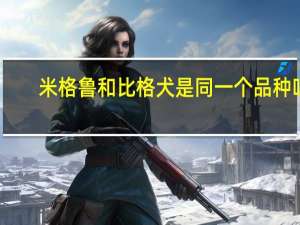 米格鲁和比格犬是同一个品种吗