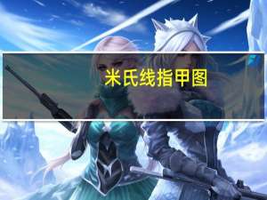 米氏线指甲图（米氏线）