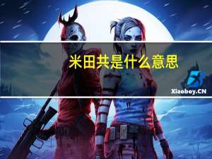 米田共是什么意思
