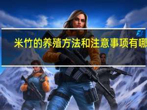 米竹的养殖方法和注意事项有哪些