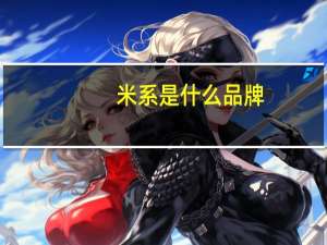 米系是什么品牌