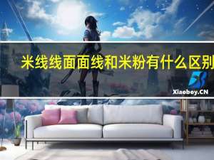 米线线面面线和米粉有什么区别吗
