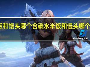 米饭和馒头哪个含碳水 米饭和馒头哪个含糖量高
