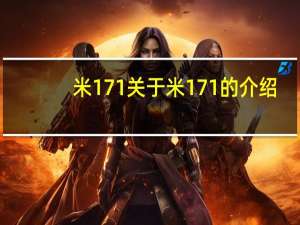 米 171 关于米 171的介绍