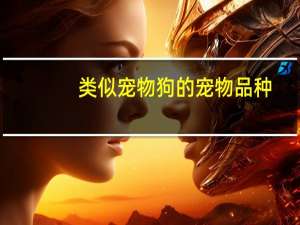 类似宠物狗的宠物品种