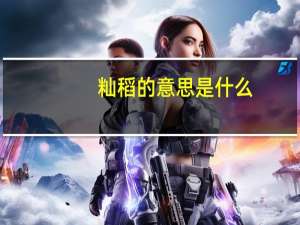 籼稻的意思是什么