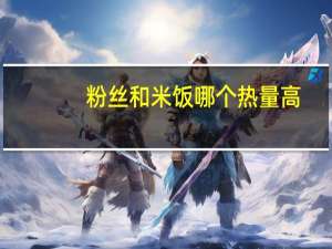 粉丝和米饭哪个热量高