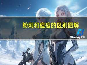 粉刺和痘痘的区别图解（粉刺和痘痘的区别）
