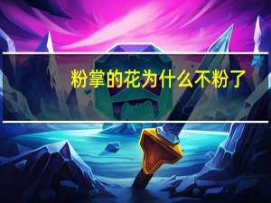 粉掌的花为什么不粉了