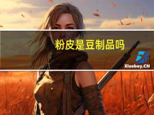 粉皮是豆制品吗