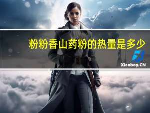 粉粉香 山药粉的热量是多少