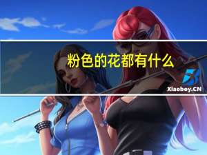 粉色的花都有什么