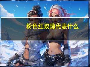 粉色红玫瑰代表什么