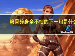 粉骨碎身全不怕的下一句是什么
