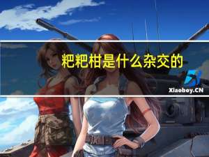 粑粑柑是什么杂交的