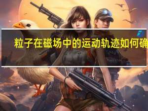 粒子在磁场中的运动轨迹如何确定