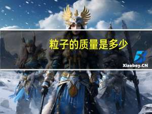 粒子的质量是多少
