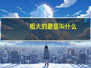 粗大的蘑菇叫什么