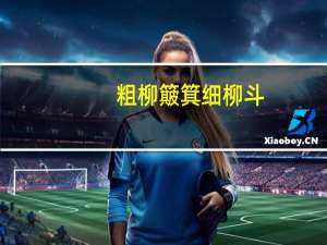 粗柳簸箕细柳斗,世上谁见男儿丑下一句是什么