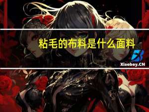 粘毛的布料是什么面料