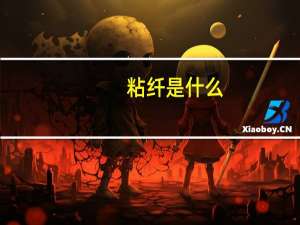 粘纤是什么