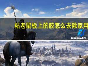 粘老鼠板上的胶怎么去除家用