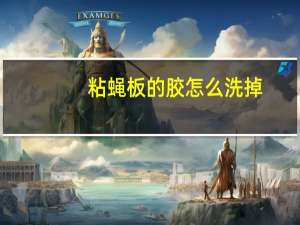 粘蝇板的胶怎么洗掉