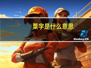 粟字是什么意思