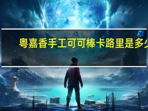 粤嘉香 手工可可棒卡路里是多少