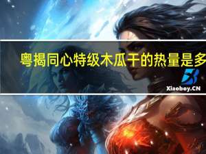 粤揭同心 特级木瓜干的热量是多少