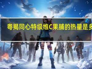 粤揭同心 特级维C果脯的热量是多少