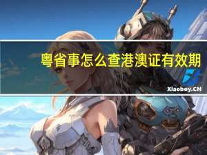 粤省事怎么查港澳证有效期