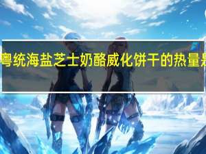 粤统 海盐芝士奶酪威化饼干的热量是多少