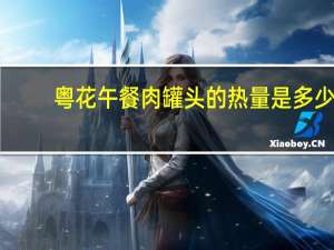 粤花午餐肉罐头的热量是多少