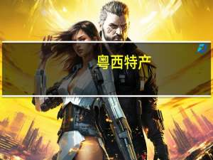 粤西特产
