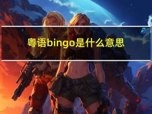粤语bingo是什么意思（bingo是什么意思）