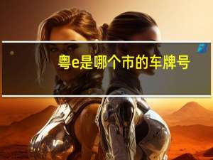 粤e是哪个市的车牌号（粤E是哪个市的车牌）