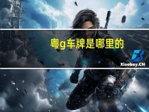 粤g车牌是哪里的