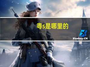 粤s是哪里的