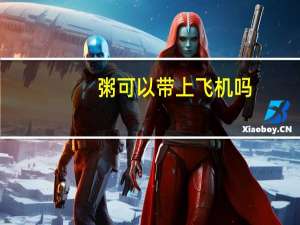粥可以带上飞机吗